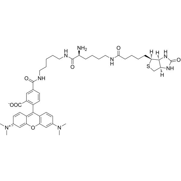 TMR Biocytin 749247-49-2